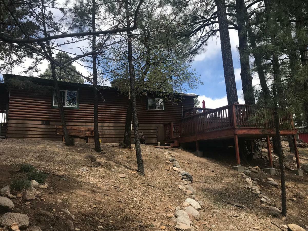 Gonzales Cozy Little Bear Cabin Ruidoso Dış mekan fotoğraf