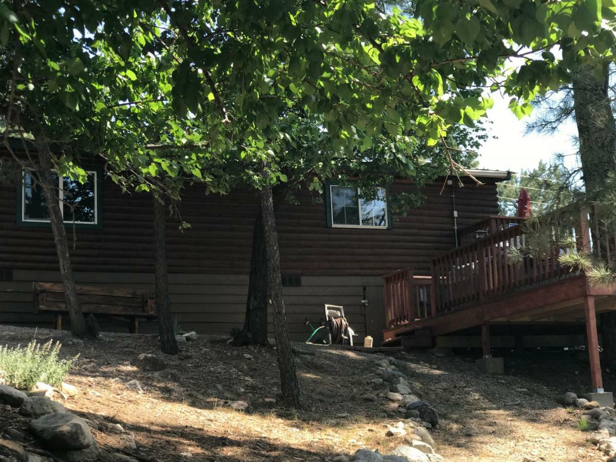 Gonzales Cozy Little Bear Cabin Ruidoso Dış mekan fotoğraf