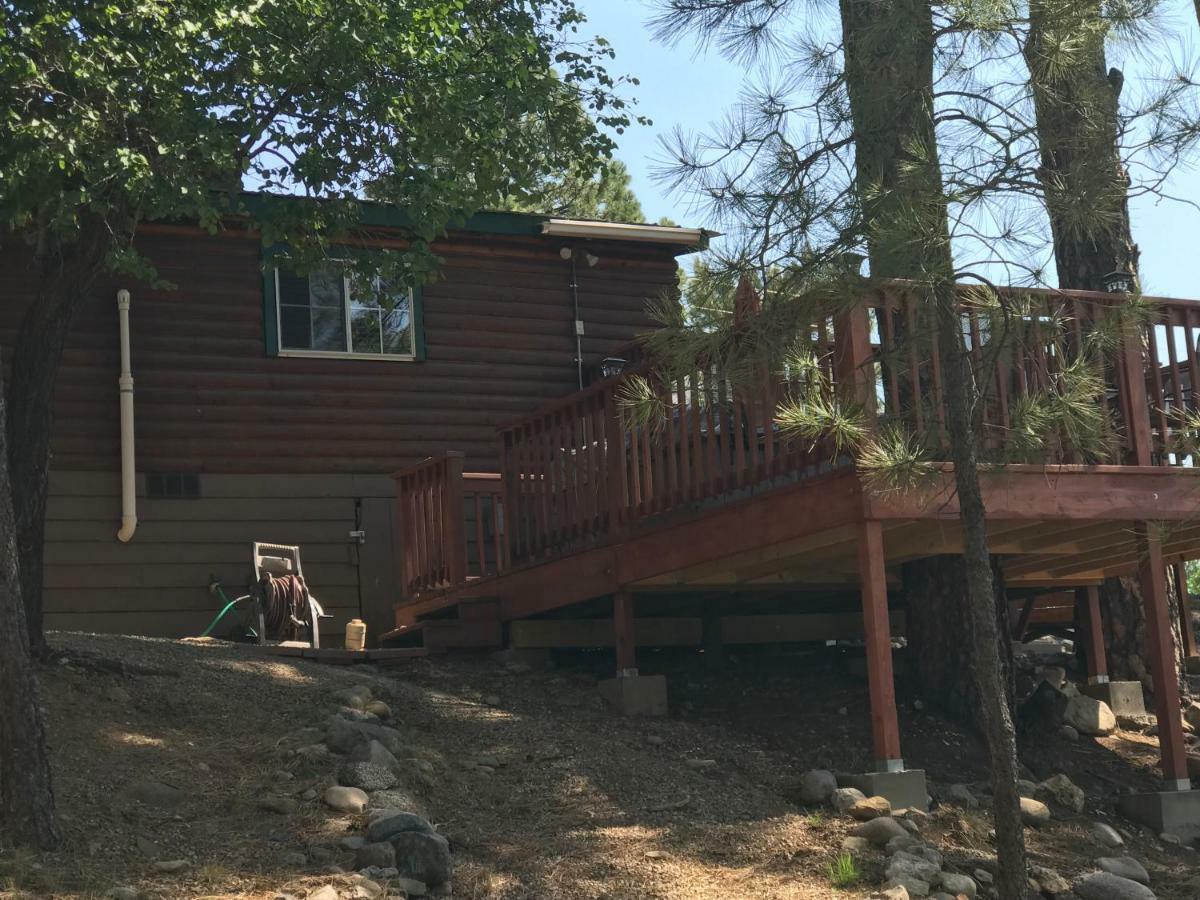 Gonzales Cozy Little Bear Cabin Ruidoso Dış mekan fotoğraf