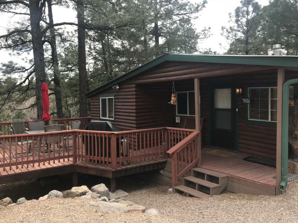 Gonzales Cozy Little Bear Cabin Ruidoso Dış mekan fotoğraf