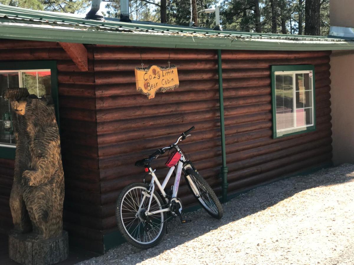 Gonzales Cozy Little Bear Cabin Ruidoso Dış mekan fotoğraf