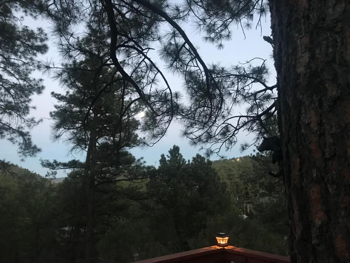 Gonzales Cozy Little Bear Cabin Ruidoso Dış mekan fotoğraf